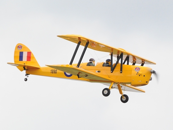PH035 Phoenix Tiger Moth GP/EP ARF - 140 cm